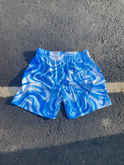 Spl blueberry shorts